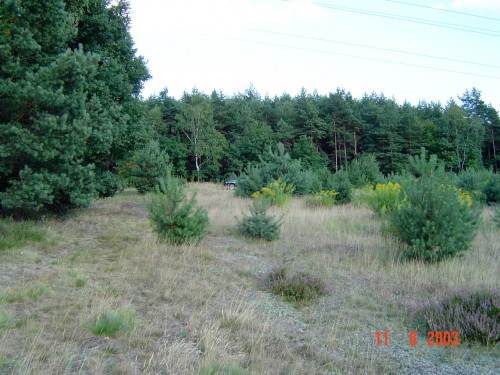 Działka Rybnik