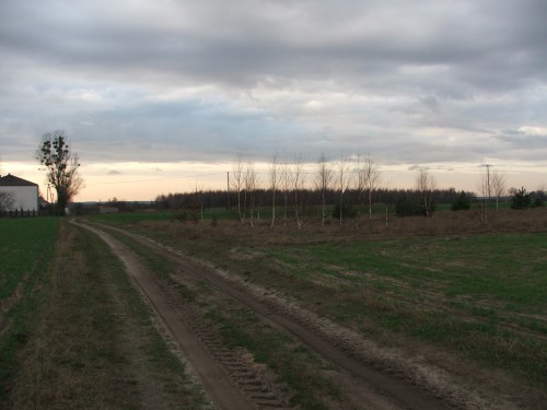 Działka Brzóza