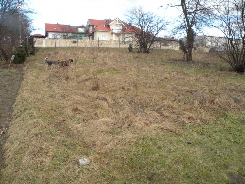 Działka Kraków