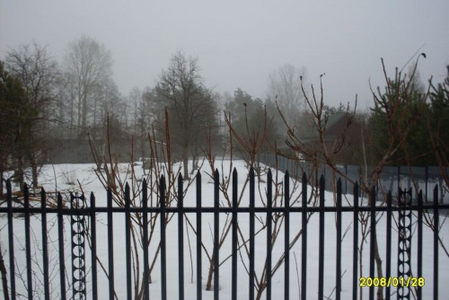 Działka Strachów