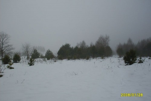 Działka Strachów