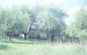 Działka Kuklin