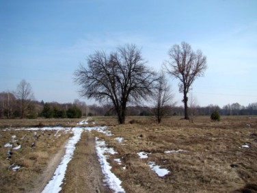 Działka rolna Adamów-Wieś