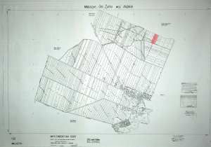 Działka Maluszyn