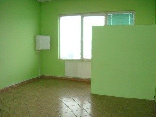 Lokal użytkowy Poznań