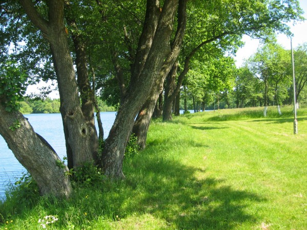 Działka Salino