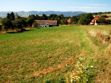 Działka Lutomierz-Kolonia