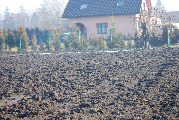 Działka siedliskowa Zielonki