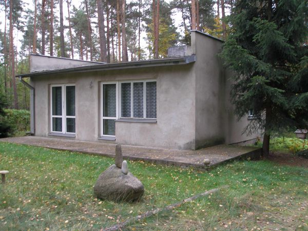 Działka leśna Grotniki