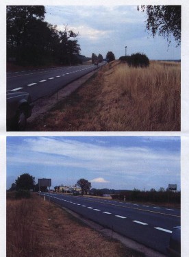 Działka Torzym
