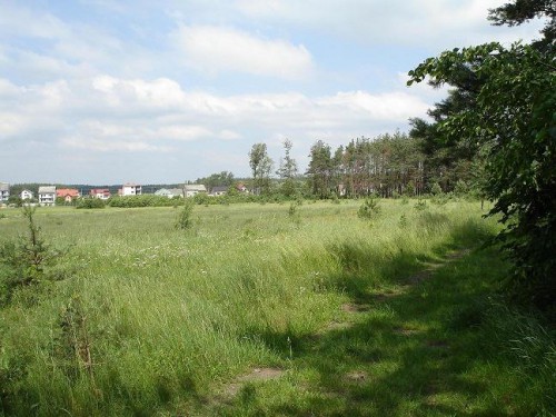 Działka Wola Morawicka