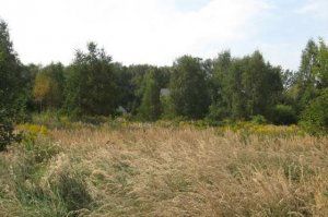 Działka Mikołów