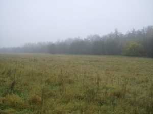 Działka Więckowice