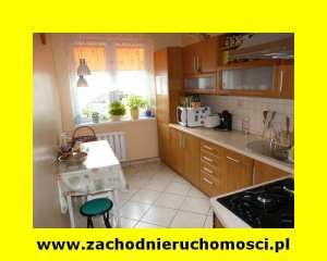 Mieszkanie Zielona Góra