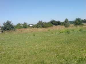 Działka Orzesze