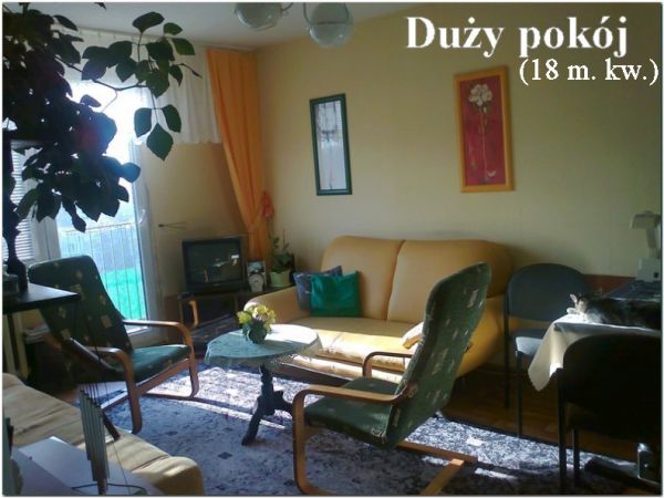 Mieszkanie Zielona Góra