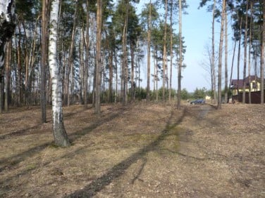 Działka leśna Sochaczew