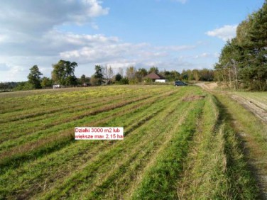 Działka siedliskowa Sarbiewo