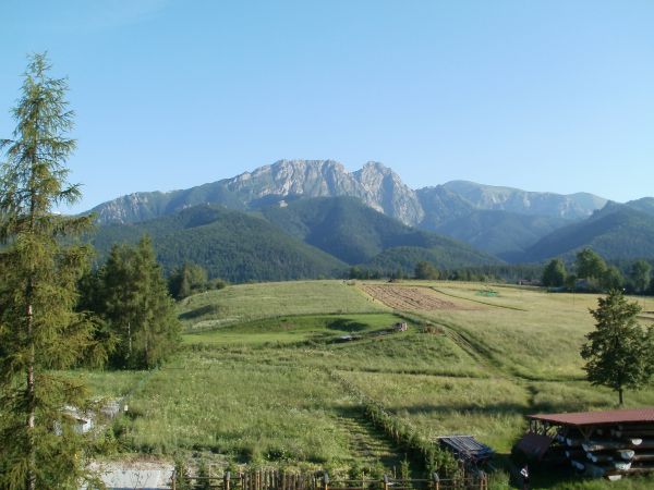 Mieszkanie Zakopane