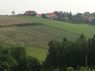 Działka budowlano-rolna Michałowice