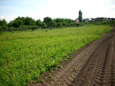 Działka Stargard Szczeciński