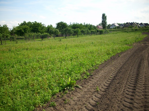 Działka Stargard Szczeciński
