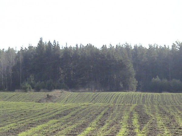 Działka Suwałki