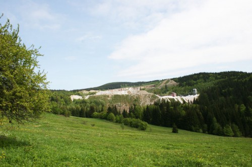 Działka Czarnów