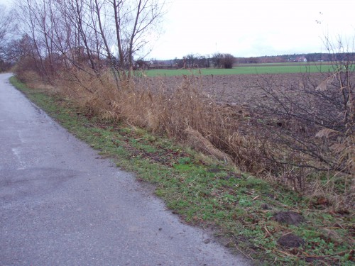 Działka Kobyla Kępa