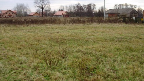 Działka Niepołomice