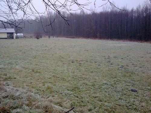Działka Orzesze