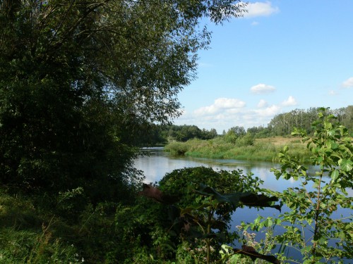 Działka Pomiechówek
