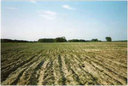 Działka Bieniów