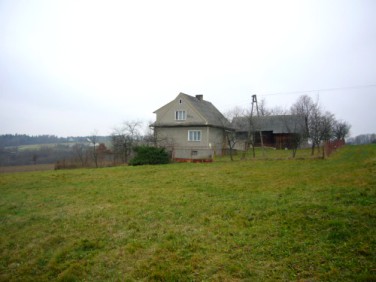 Dom Borówna