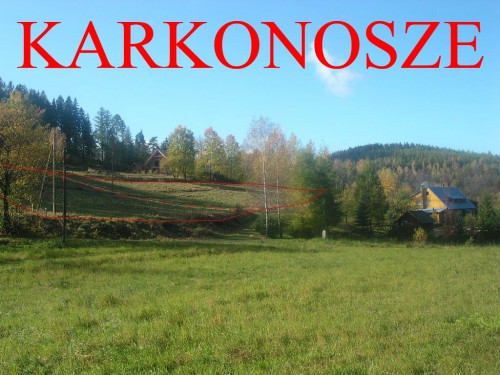 Działka Zachełmie