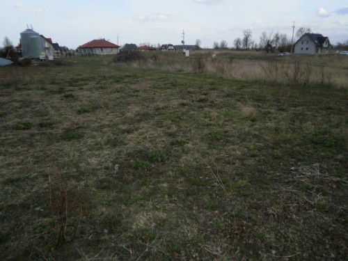 Działka Wiślinka