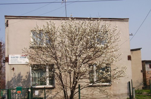 Dom Będzin