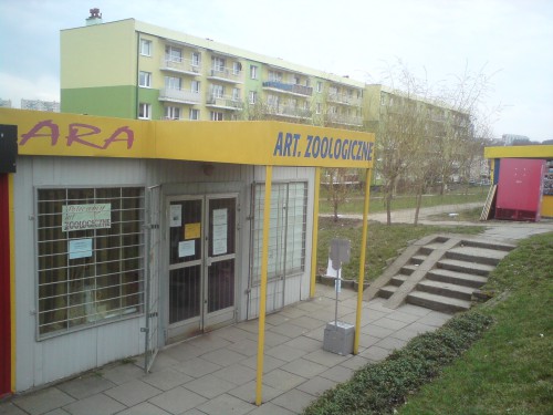 Lokal użytkowy Gorzów Wielkopolski