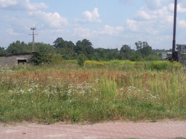 Działka Stara Gadka