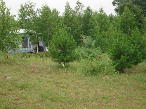 Sprzedam działkę 14 000 m² Mieruniszki