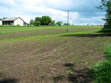 Działka Bychawka Druga-Kolonia