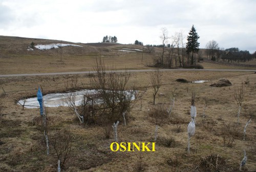 Działka Osinki
