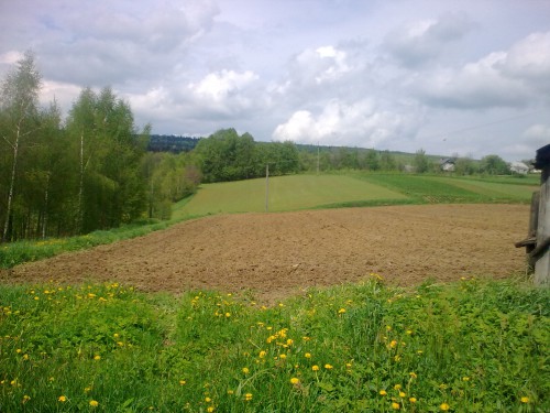 Działka Bieliny