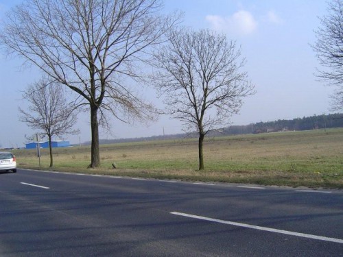 Działka Kalisz