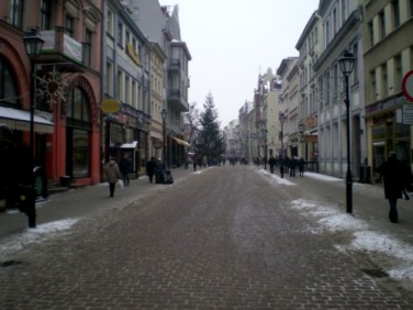 Lokal użytkowy Toruń