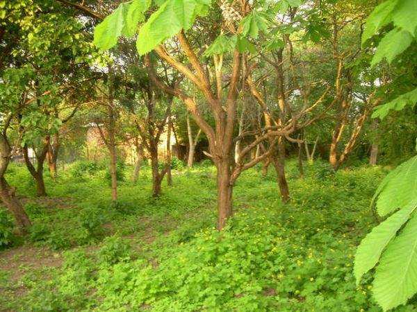 Działka budowlana Warszawa