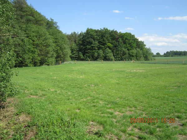 Działka budowlana Ustka