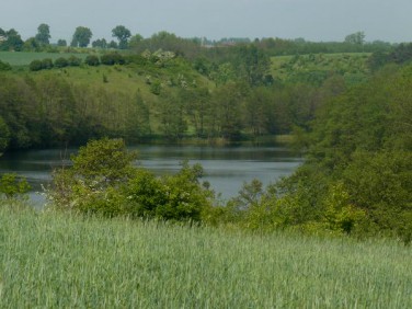 Działka rolna Skarbiewo
