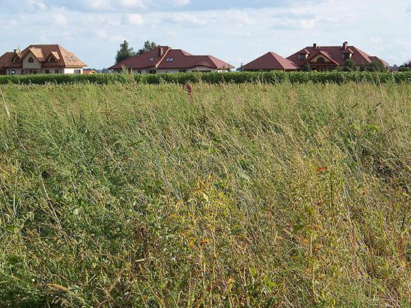 Działka budowlano-rolna Żerniki Wrocławskie