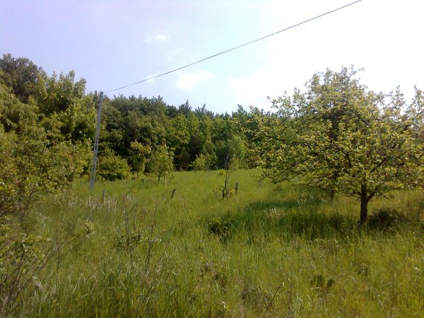 Działka rekreacyjna Czernica